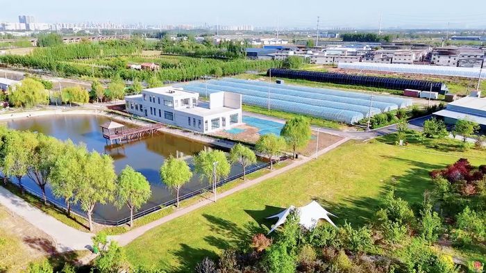 走！去槐荫，当一天“城市农夫”