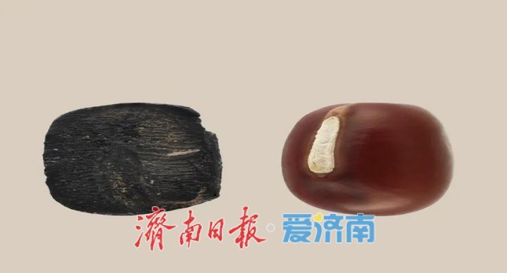 山东淄博小高遗址、山东广饶傅家遗址研究成果分别入选2025国内、国际十大考古新闻