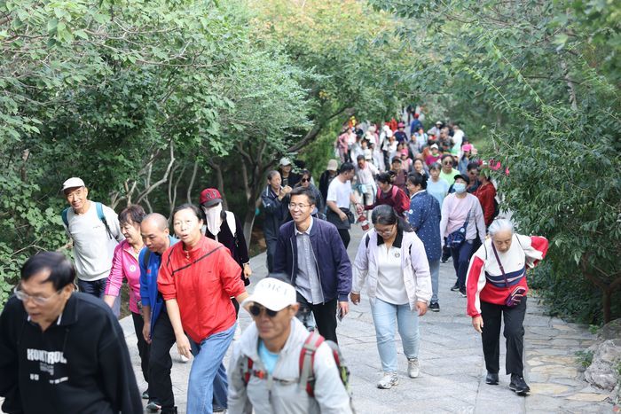 千佛山—佛慧山无障碍绿道今启用！邀“一城山色·登山打卡”活动近千市民见证