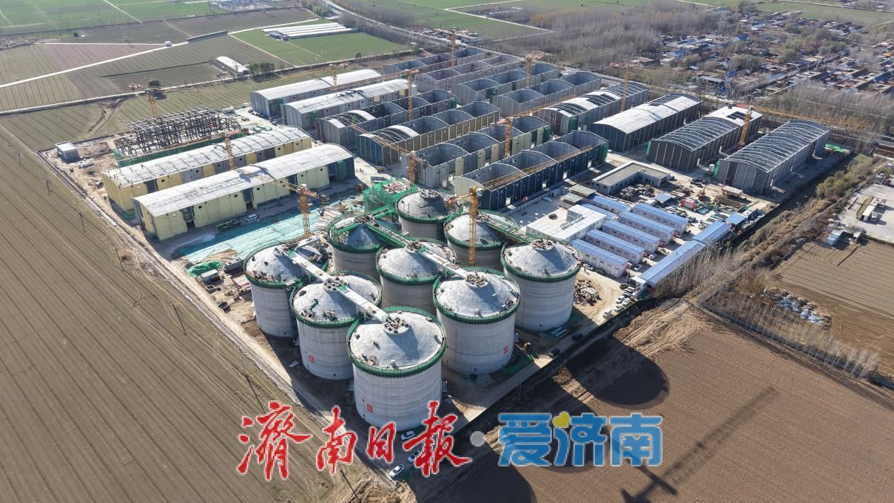 匠心筑仓，再树标杆！鲁粮集团现代粮农项目浅圆仓群封顶