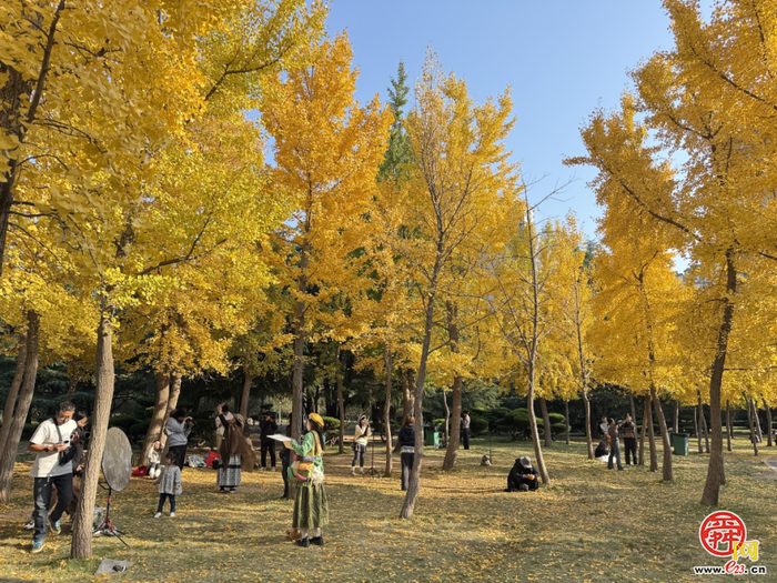 济南：坐着地铁逛公园，最新攻略来啦！地铁直达！