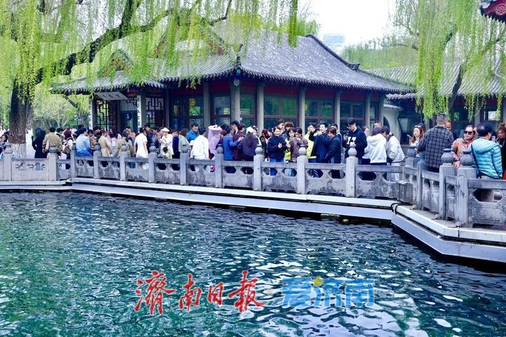 趵突泉水位同比高出一米 “三股水”喷涌引客来