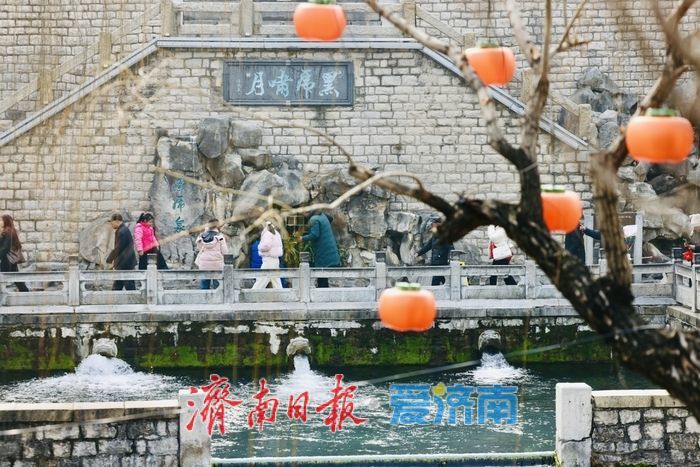 泉声伴灯影 济南护城河畔迎新春