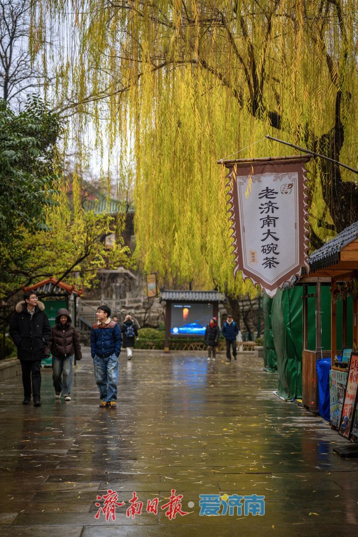 一年四季 泉在济南丨济南黑虎泉冬日云雾润蒸：清泉伴柳，仙境入画