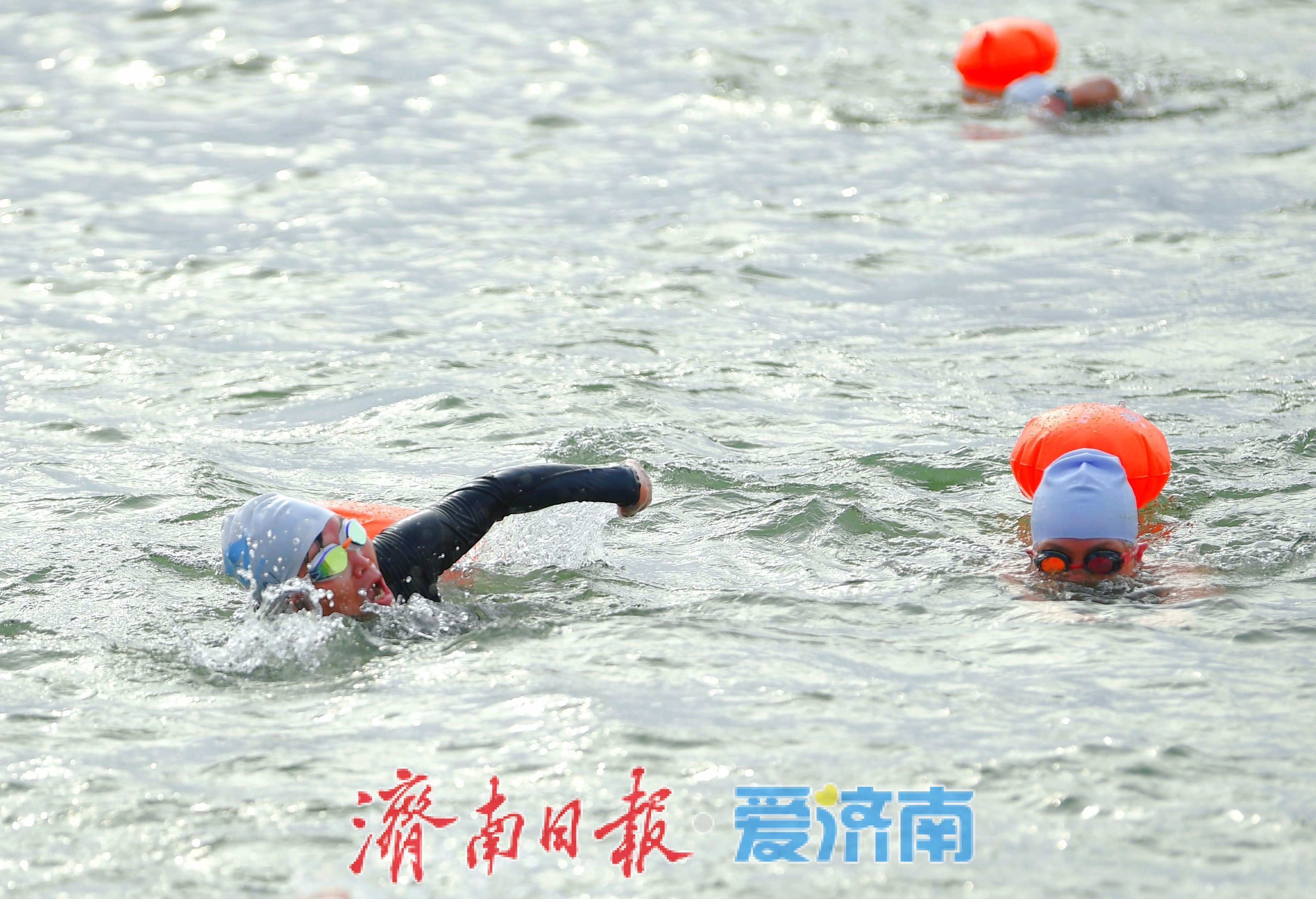 千名冬泳爱好者竞逐大明湖 第十三届中国济南冬季畅游泉水国际公开赛启幕