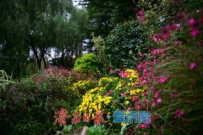 一年四季 泉在济南丨雨后泉城绿意浓，济南森林公园焕发活力