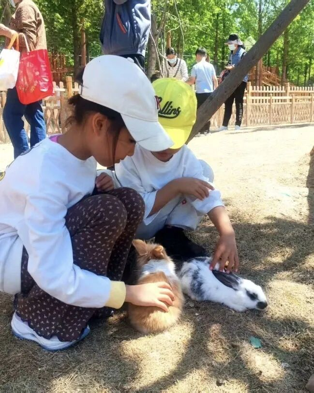 挖红薯、喂萌宠、抓泥鳅，国庆假期在济南鲜花港来场别样“金秋游园会”