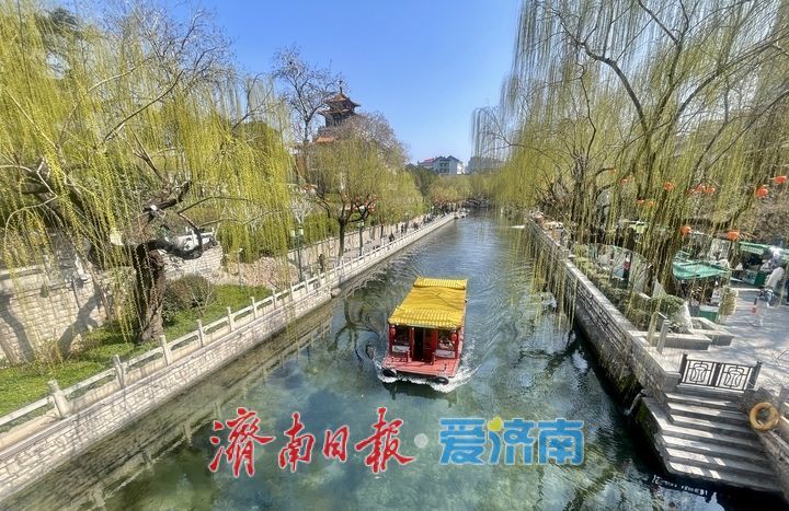 济南护城河畔春意现 蓝天回归柳色新
