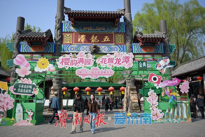 济南五龙潭樱花节迎盛花期 泉畔花海成春日顶流打卡地
