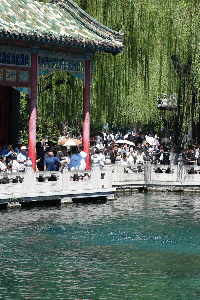 “泉”在济南过暑假｜水位“十连涨”！济南“趵突腾空”胜景重现