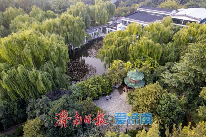 秋意正浓！百花公园披上“五彩霓裳”