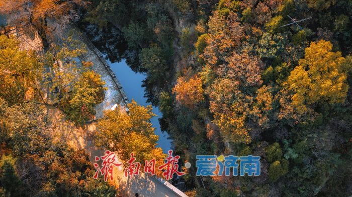 济南九如山：秋日斑斓如诗画，手工体验让秋天 “触手可得”