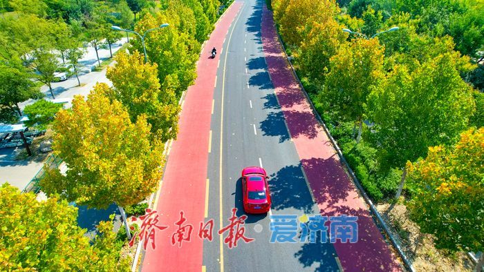 济南光华大道邂逅初秋醉人风光