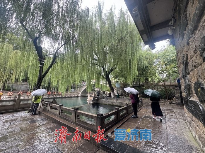 一年四季 泉在济南丨“不是江南胜似江南”，济南护城河畔雨中尽显诗意