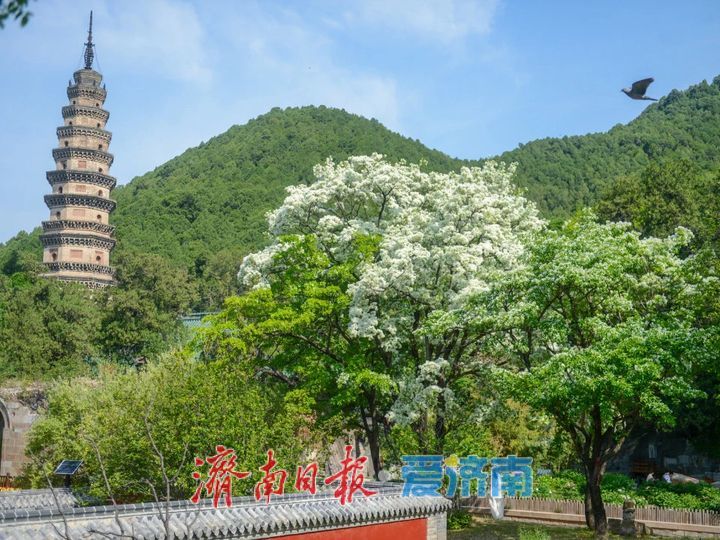 七大主题、300+活动，五一来济南玩出新花样！