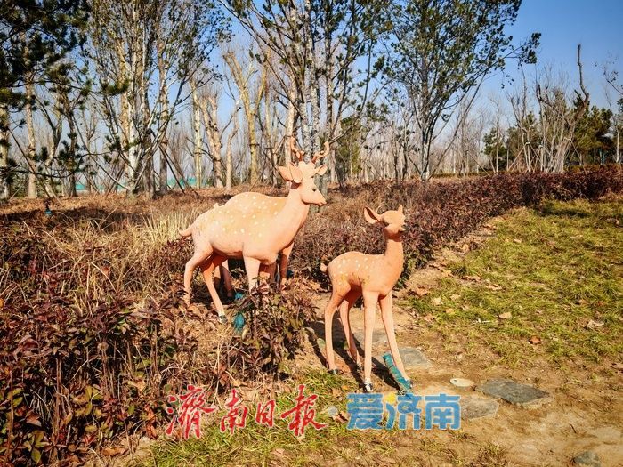 中央森林公园：工业遗址转型中的生态复苏与城市记忆新空间