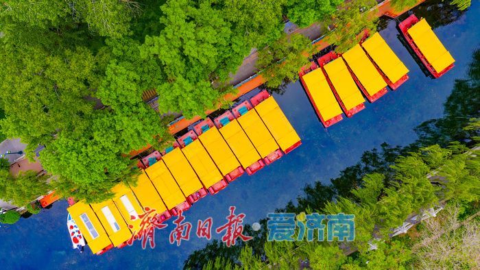 一年四季 泉在济南丨一泉一市一春日！黑虎泉畔水墨韵 花朝荟里烟火情