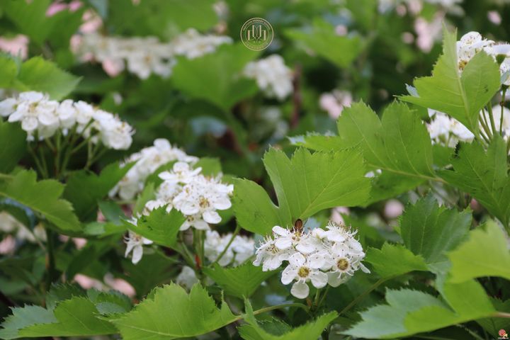 春分启新程 文化润成长 多校开展春分教育活动