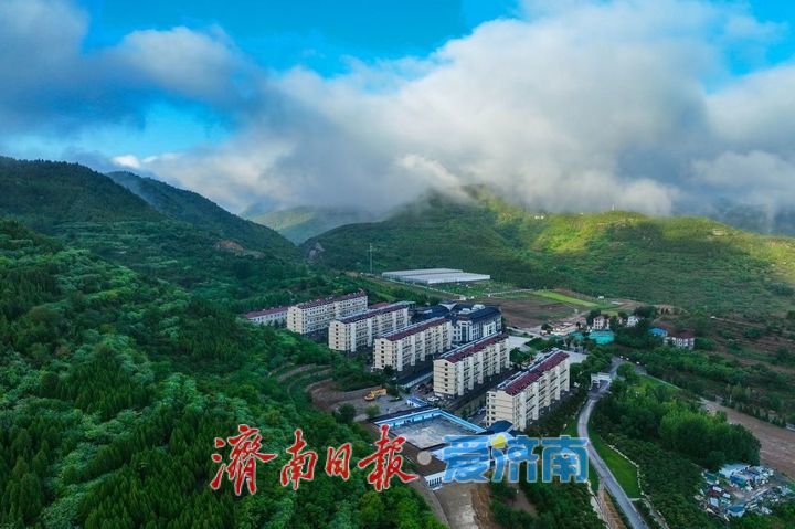 告别“荒山旧貌”闯出“振兴新路”——记历城区港沟街道芦南村党支部书记、村委会主任贾虎平