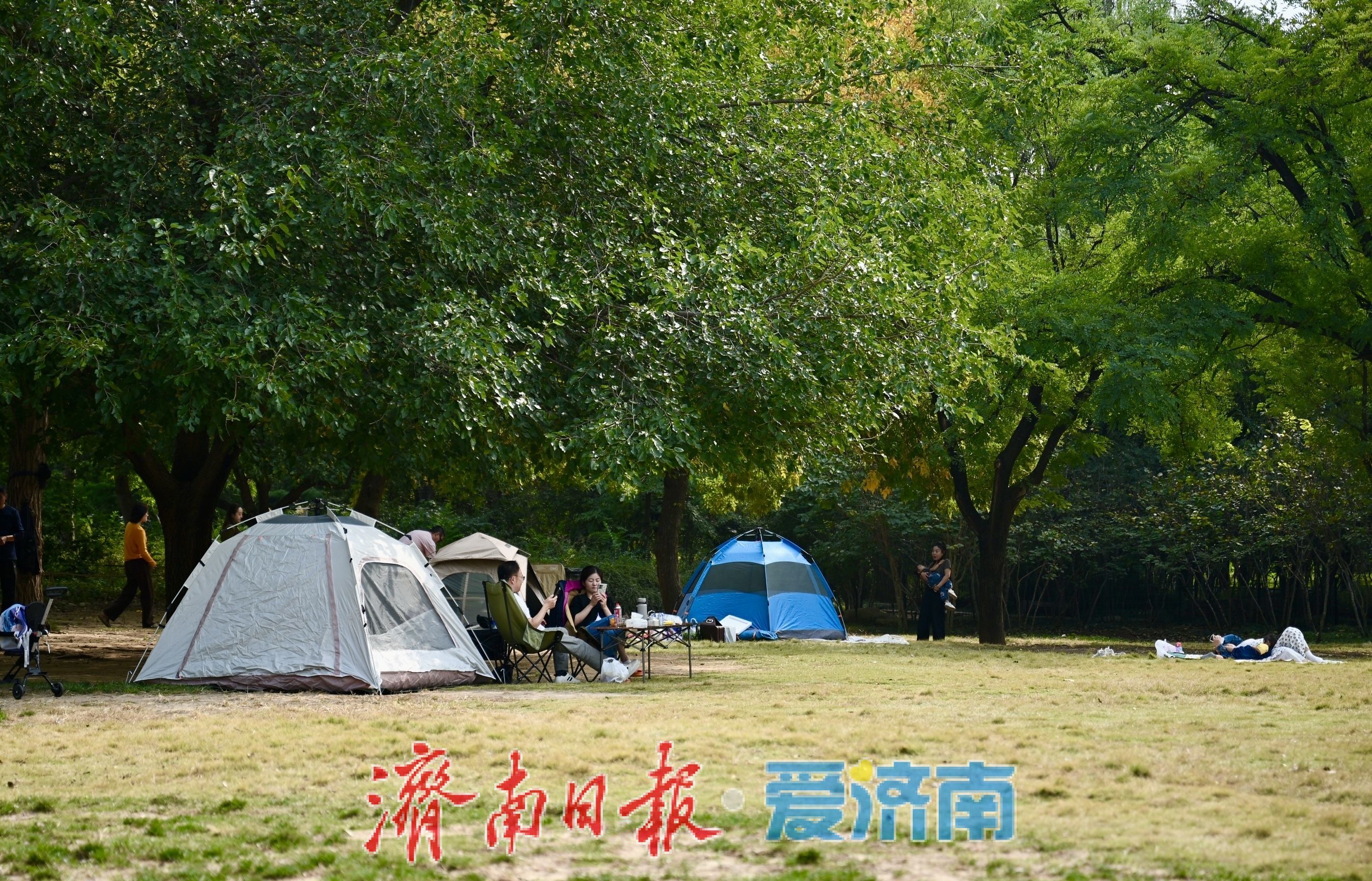 一年四季 泉在济南丨秋染林海景如画 济南森林公园乐享休闲好时光