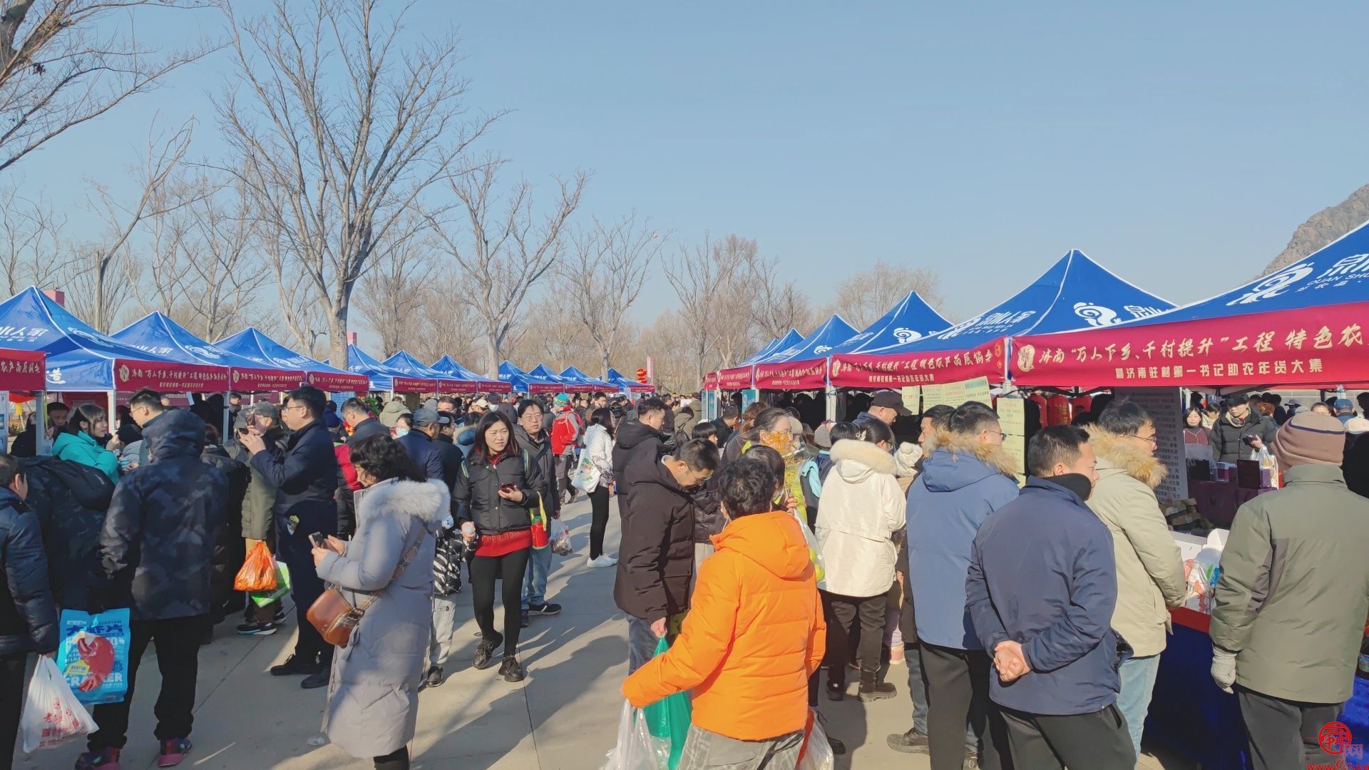 “泉”在济南过大年