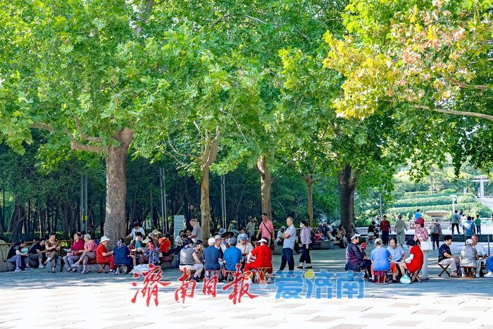初秋午后氛围感拉满 济南森林公园藏一城温柔秋韵