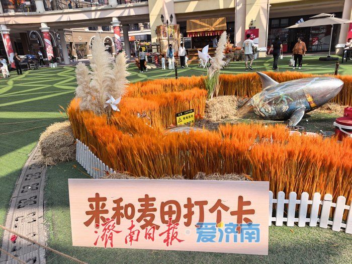 秋日麦田落进消费空间，市民解锁休闲新去处