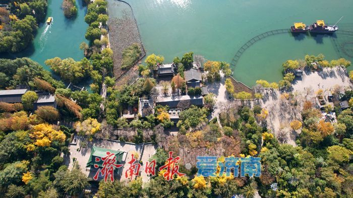 初冬泉城醉美游人