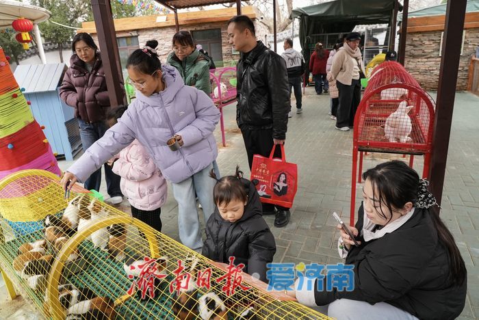 抓住假期的尾巴，寓教于乐欢度寒假