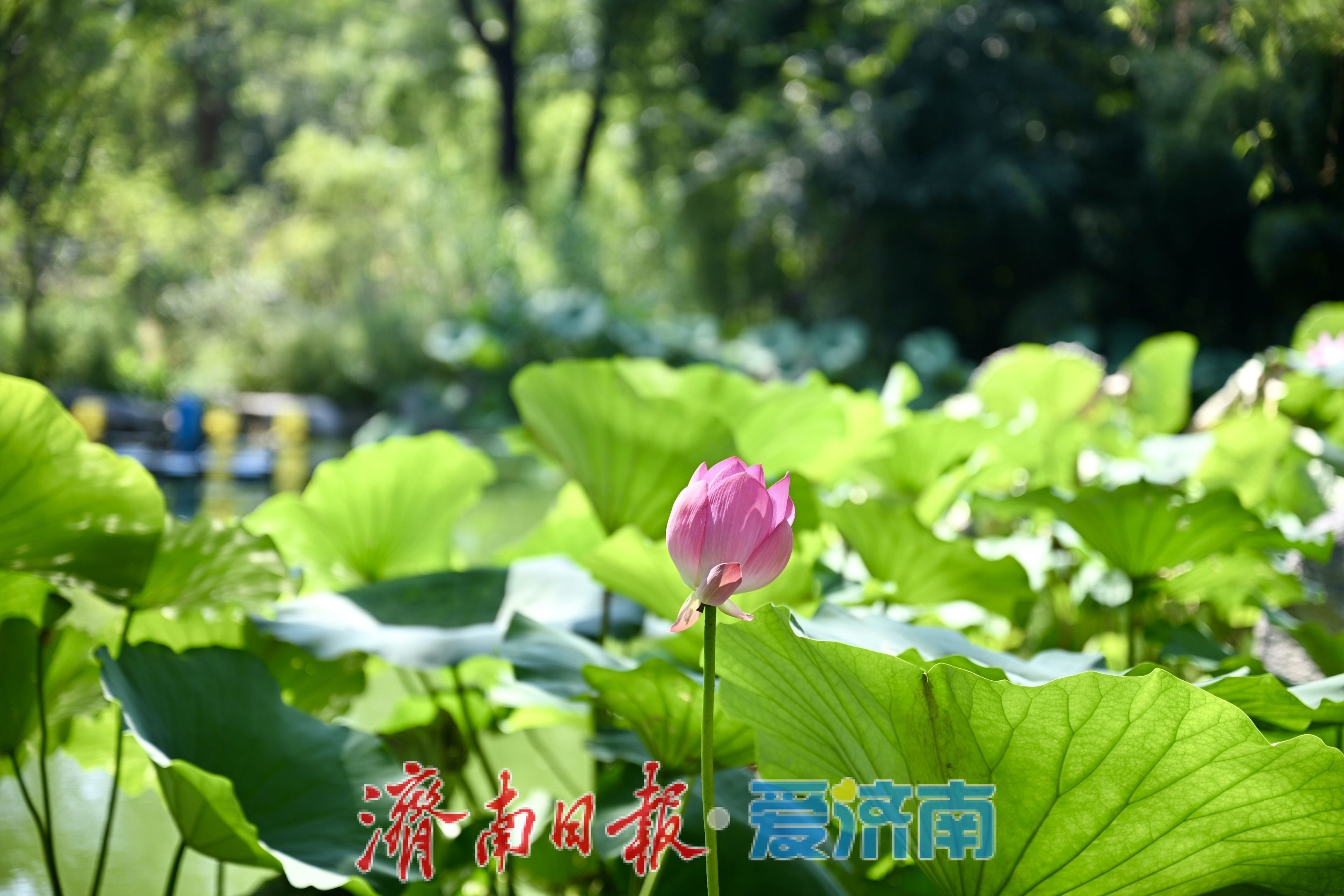 秋日赴约！泉城公园CAC艺术社区，邂逅公园城市慢时光
