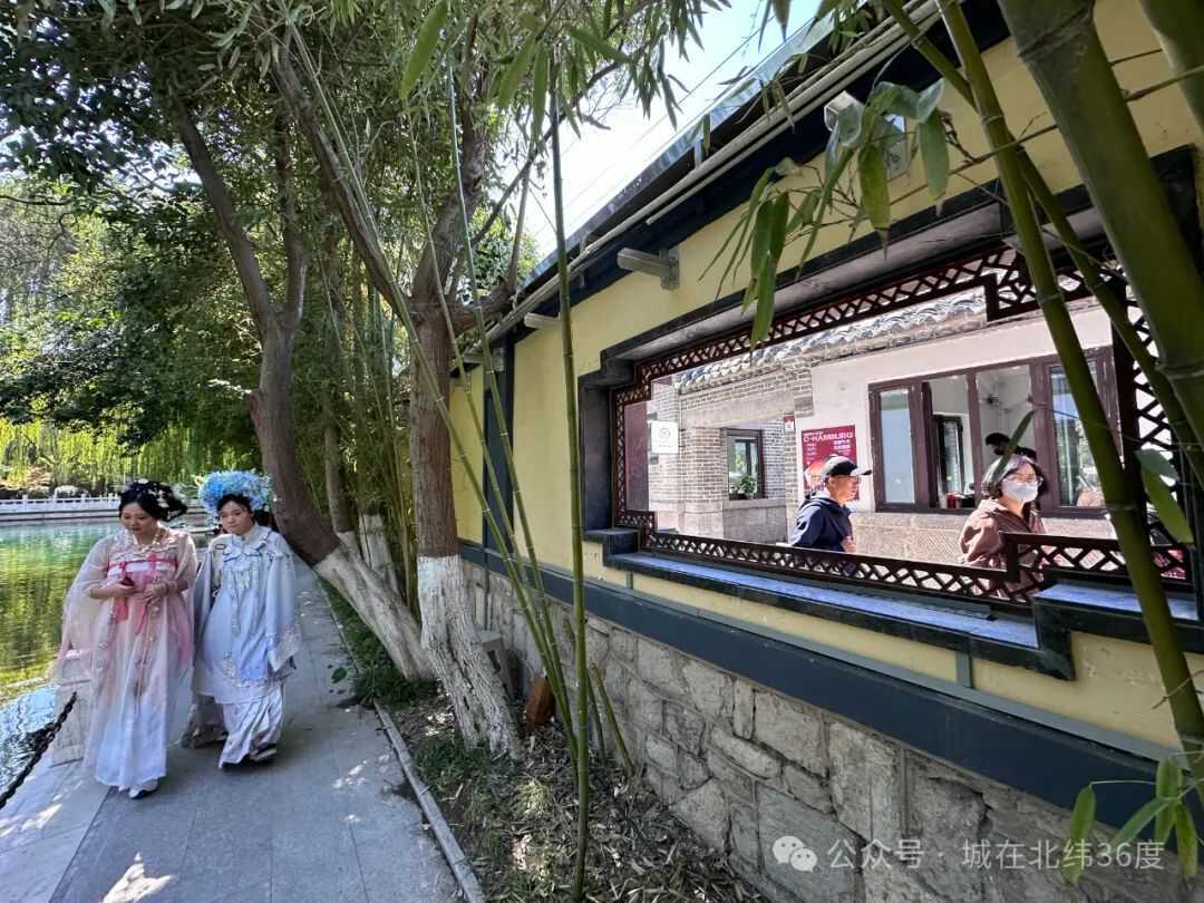 “泉”在济南享金秋｜济南明府城“上新”，遇见多重惊喜……