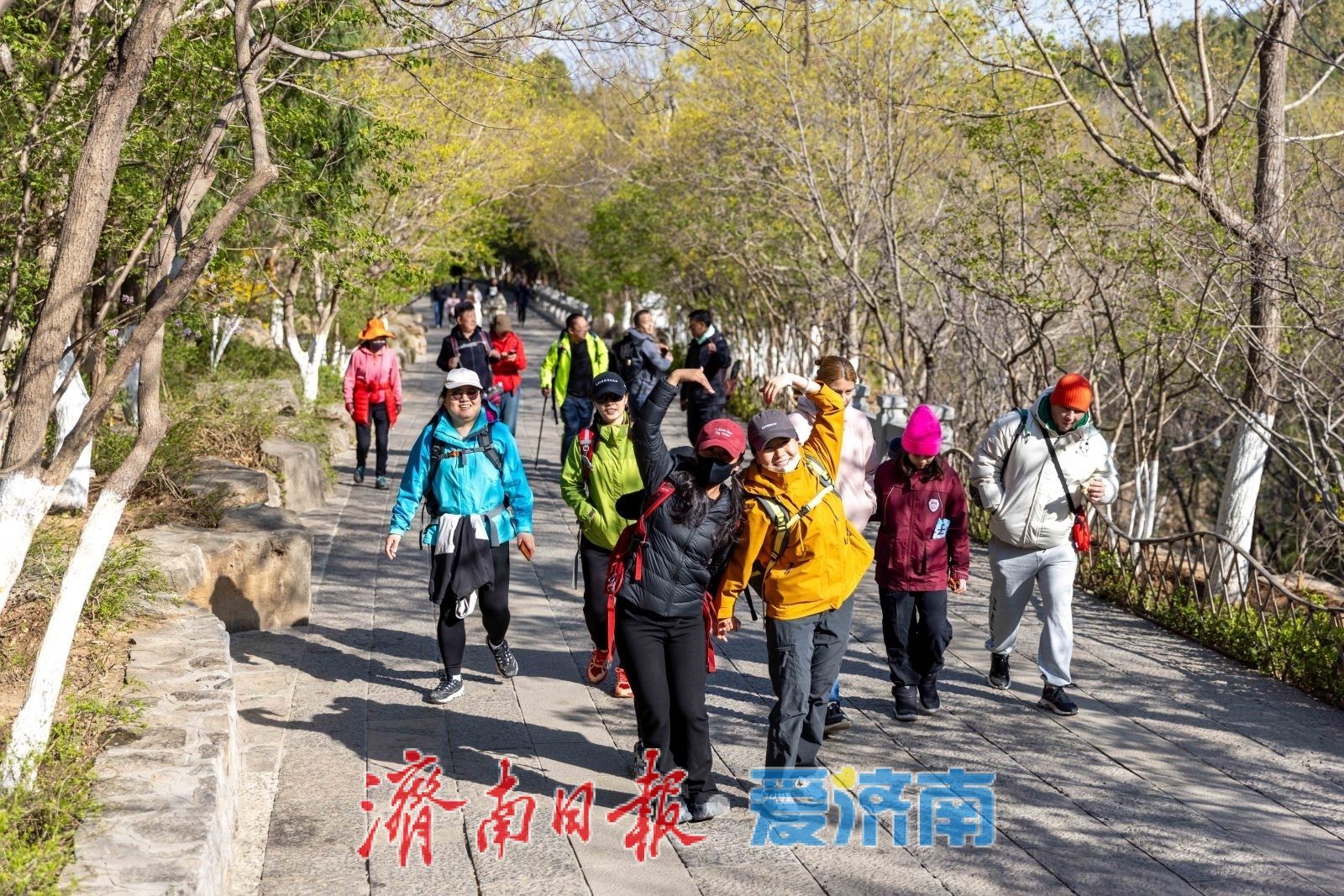 春暖花开来相“慧”！济南2025“一城山色·登山打卡”系列活动“会春天·佛慧山站”火热启动
