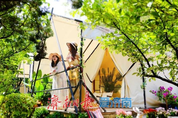 仲夏游红叶谷 一站式解锁夏日欢乐