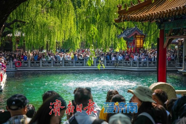 赏泉热潮！“五一”假期趵突泉客流持续高峰
