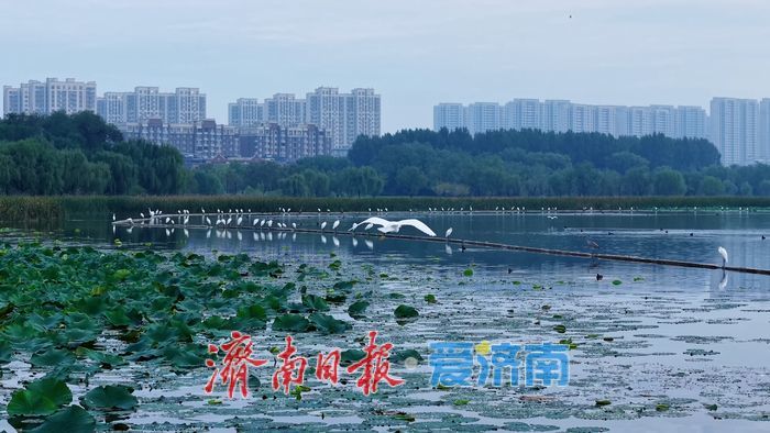 山湖尽染，秋色如画