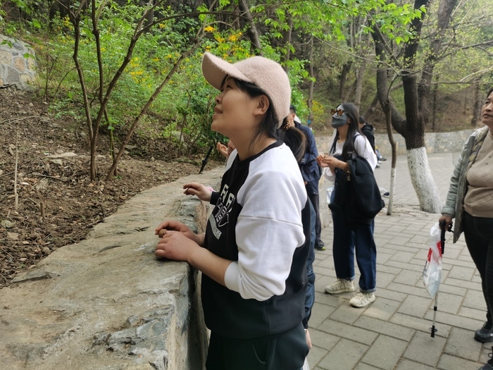 “泉”在济南过五一｜游客与松鼠“双向奔赴”！济南这处宝藏“松鼠部落”藏不住了