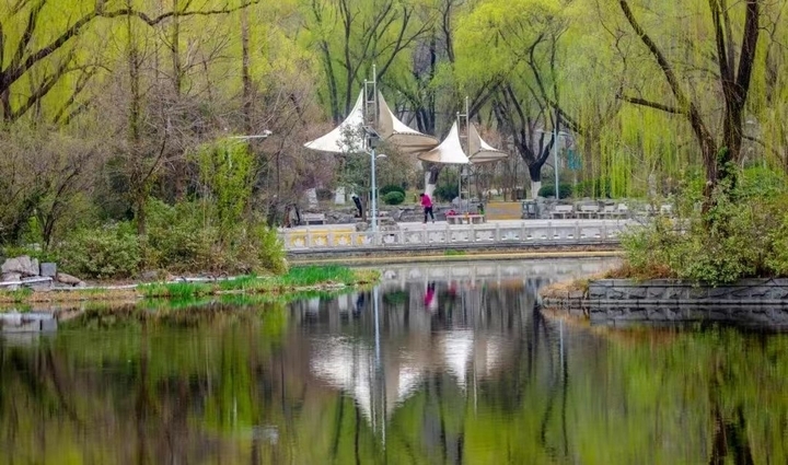 泉在济南过五一丨50余项活动，济南春日踏青出游指南发布！