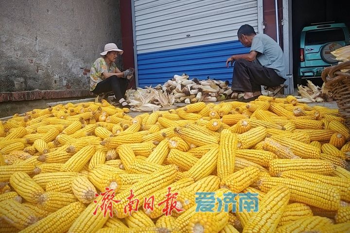 抢抓夏日好天光 晾晒作物保收成
