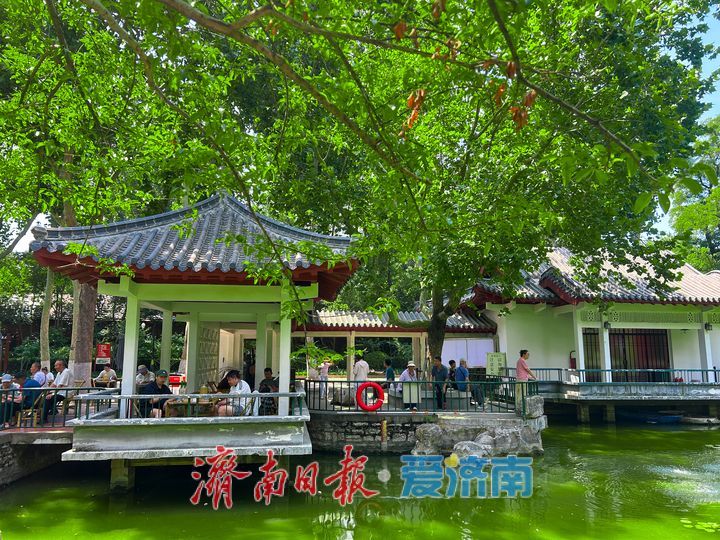 绿荫送清风 济南中山公园解锁夏日避暑好去处