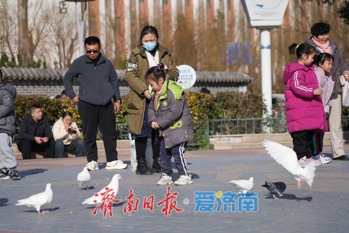 春风和煦，市民欢“鸽”笑语度周末