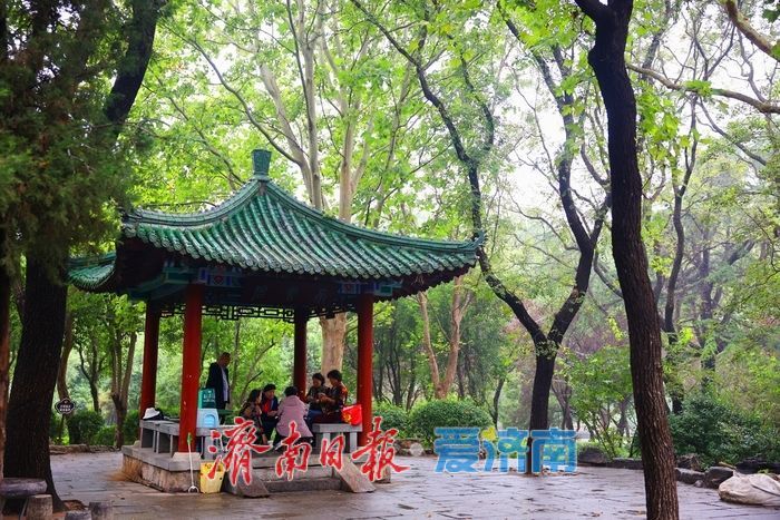 细雨如丝，百花公园秋意朦胧