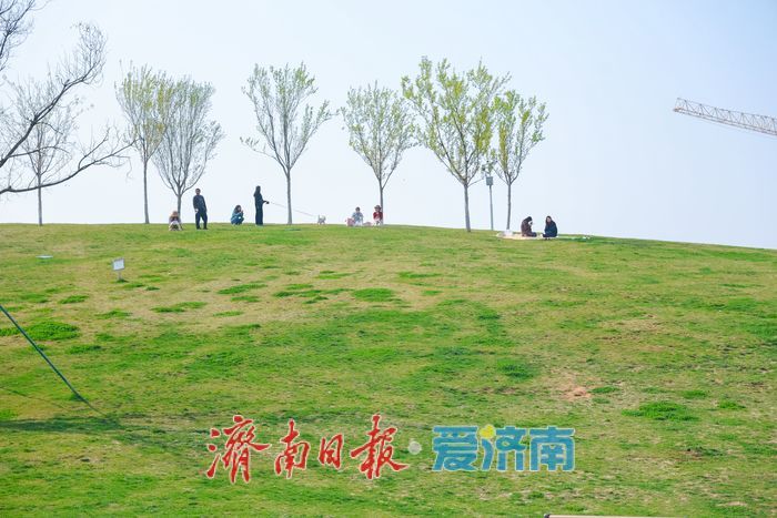 春日暖阳润新绿 菠萝山草坪成“松弛栖息地”