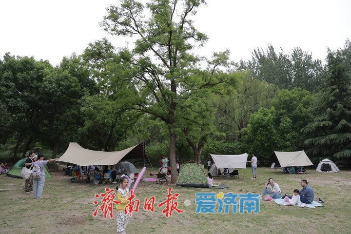 一年四季 泉在济南｜假日躺“营”火出圈 躺平看云享清风