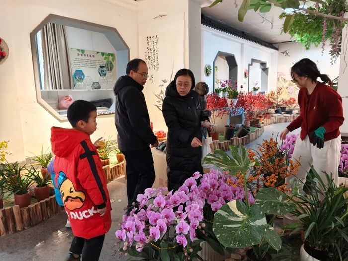 赏花购年货一站式解锁，济南公园里的新春盛典来啦