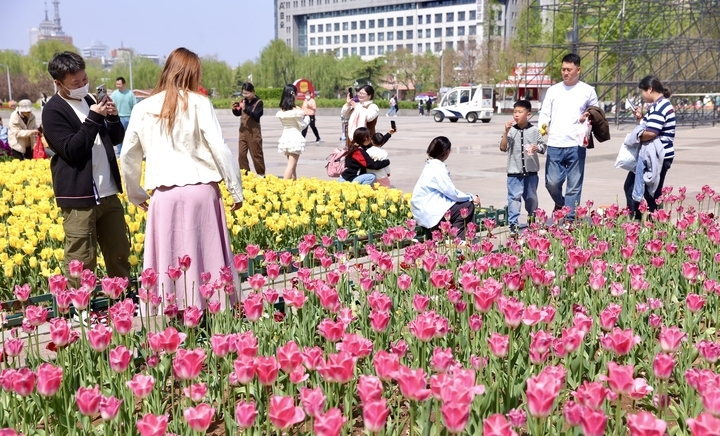 “泉”在济南过五一｜花海经济热度不减