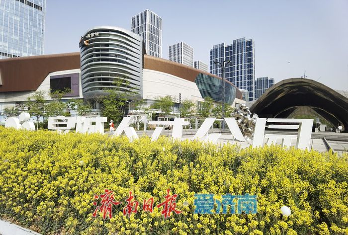 泉城人才公园油菜花盛开