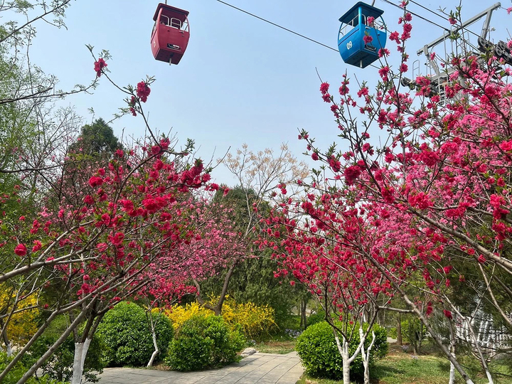 “泉”在济南过五一 