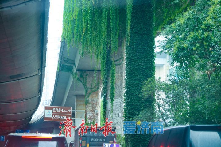 雨润泉城高架路 都市“绿野仙踪”添诗意