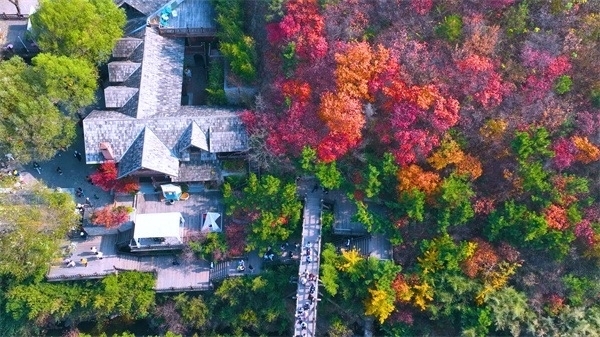 住九如山赏秋景，体验沉浸在自然中的美妙夜晚