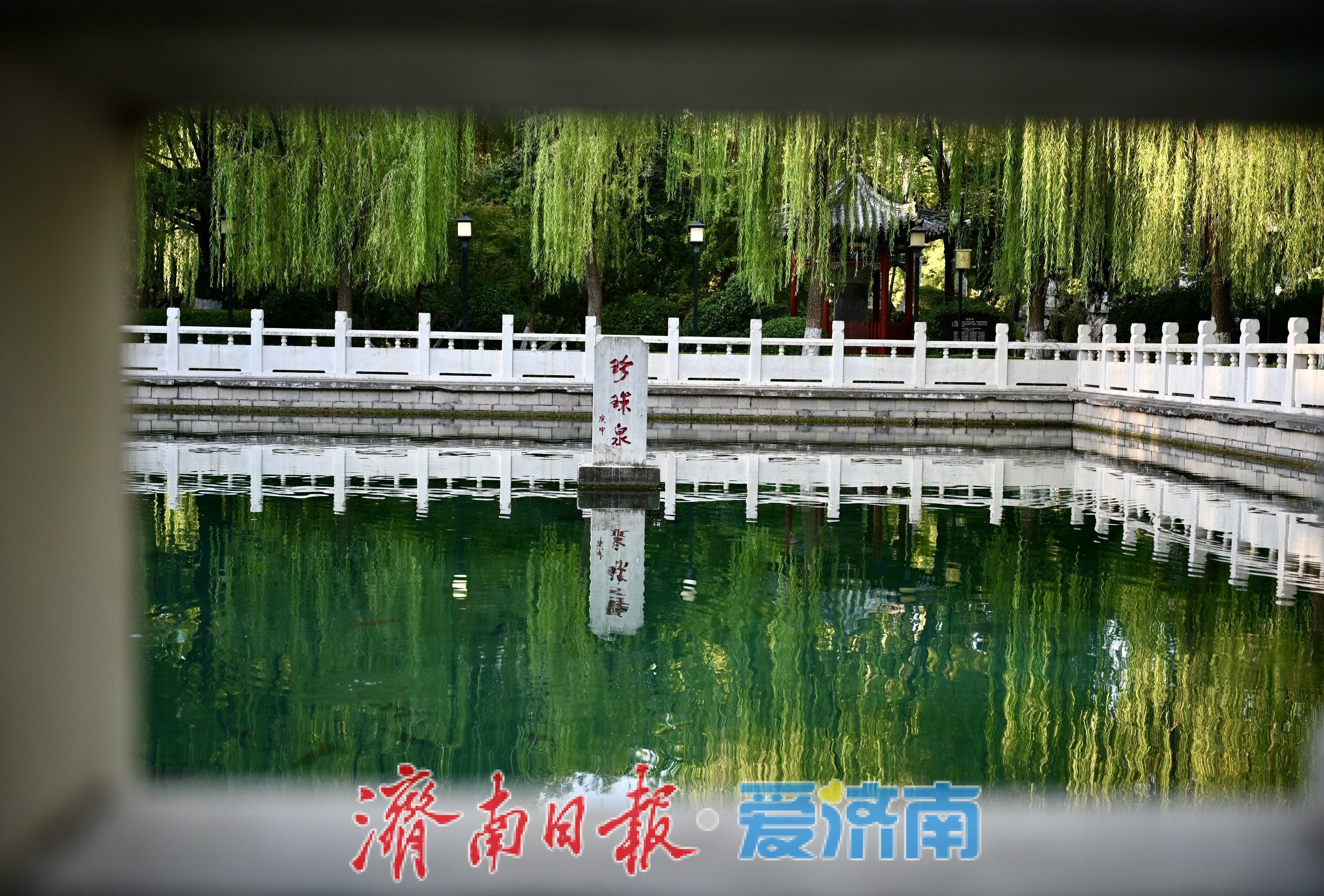 秋染珍珠泉 泉城古韵引游人沉醉